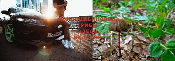 гашиш Алзамай