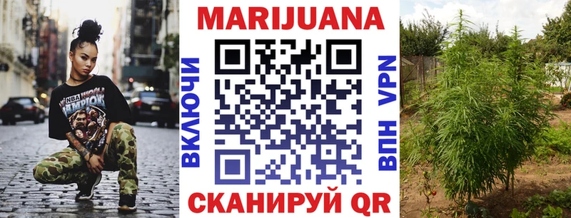 Конопля сатива  Аркадак 